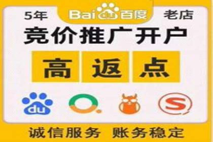 Sem优化公司成功案例：转化率提升之道